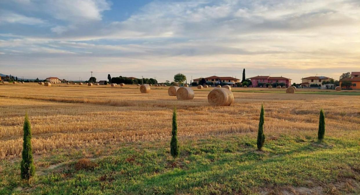 Il Cantuccio Cascina Exterior photo